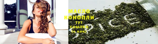прущие крисы Бородино