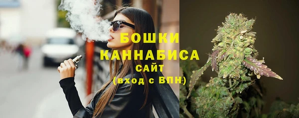 крисы Богородск