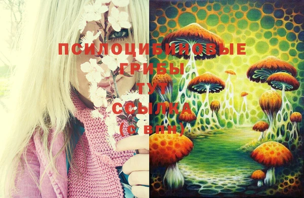 jwh Богородицк