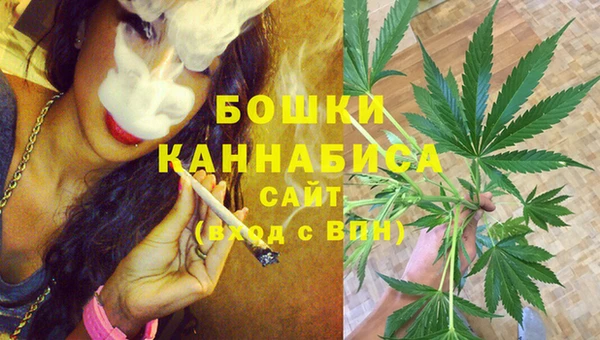 крисы Богородск
