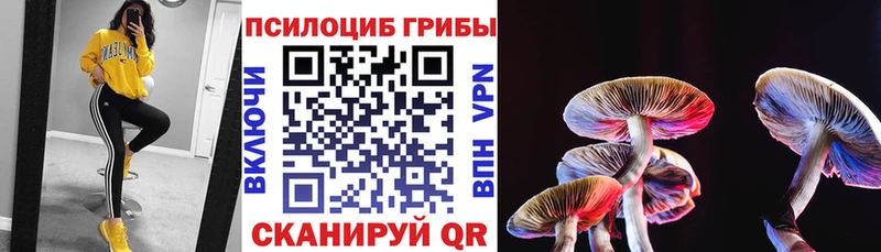 Псилоцибиновые грибы Psilocybe  МЕГА зеркало  Пермь 